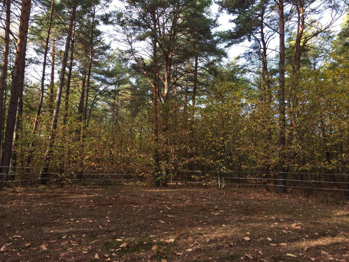 Chambre A La Campagne Chaumont-sur-Tharonne Εξωτερικό φωτογραφία
